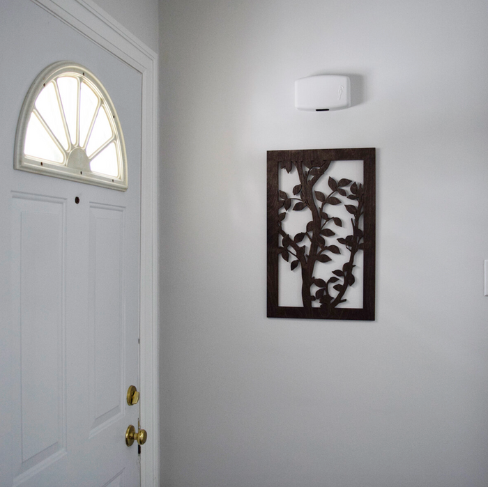 Ash Tree Panel