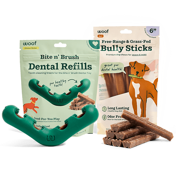 Bite n’ Brush Starter Pack