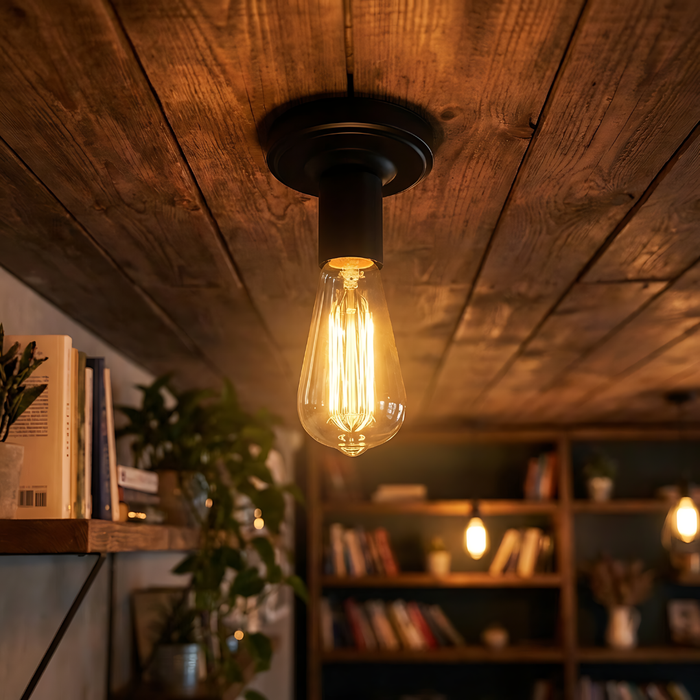 Vintage-style light bulb hanging from a wooden ceiling with bookshelves and plants in the background.
