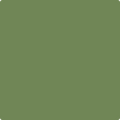 Shop the paint color 546 Courtyard Green by Benjamin Moore at Anderson Paint Company in Ann Arbor, Michigan.