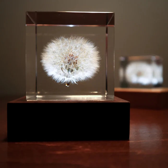 Dandelion Cube