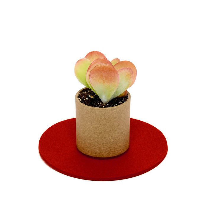 Felt Trivet 8" - Red