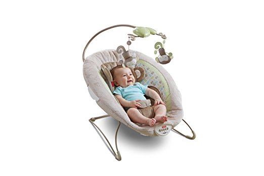 Baby Bouncer