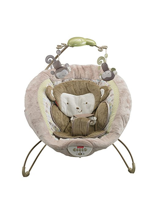 Baby Bouncer