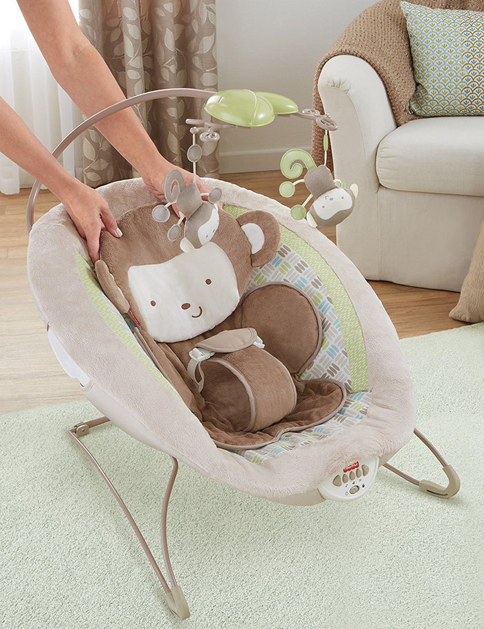 Baby Bouncer