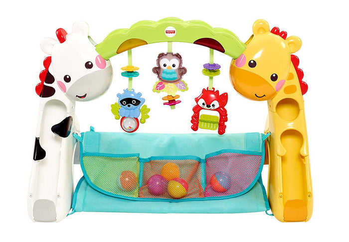 Play Gym