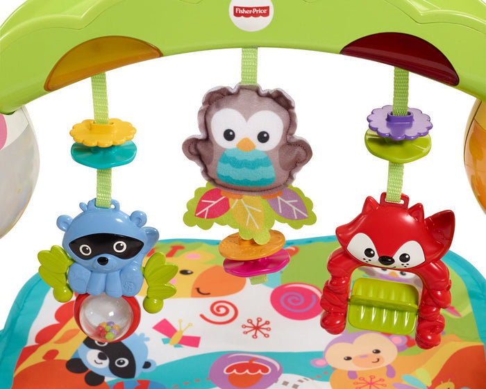 Fisher-Price Play Gym