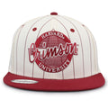 Harvard '90 Pin Snapback