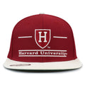 Harvard '93 Til Snapback