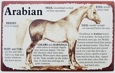 Horse Lineage Sign