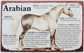 Horse Lineage Sign