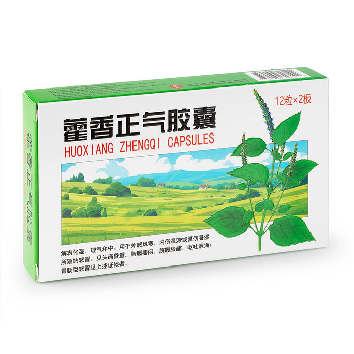 HYT Huo Xiang Zheng Qi Capsules
