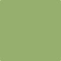 Shop the paint color 544 Kiwi by Benjamin Moore at Anderson Paint Company in Ann Arbor, Michigan.