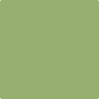 Shop the paint color 544 Kiwi by Benjamin Moore at Anderson Paint Company in Ann Arbor, Michigan.