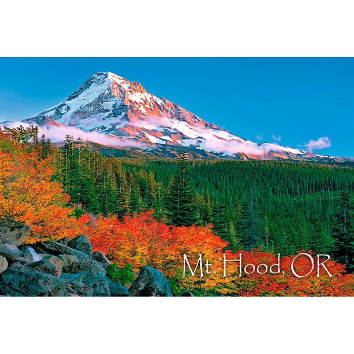 MOUNT HOOD - 2 Image 3D Magnet for Refrigerators, Whiteboards, and Lockers - NEW