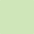 Shop the paint color 555 O'Reilly Green by Benjamin Moore at Anderson Paint Company in Ann Arbor, Michigan.