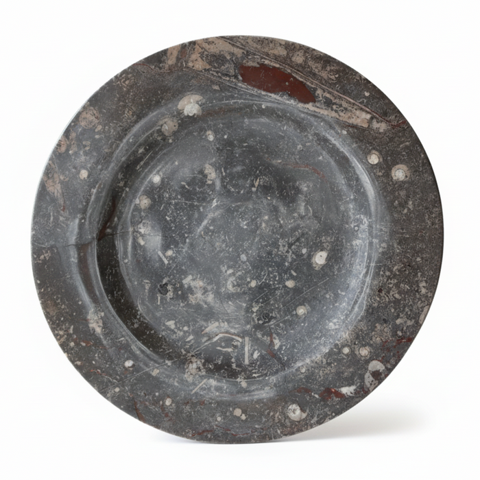 Orthoceras Fossil Charger Plate Ancient Black Stone 13.5 Inch