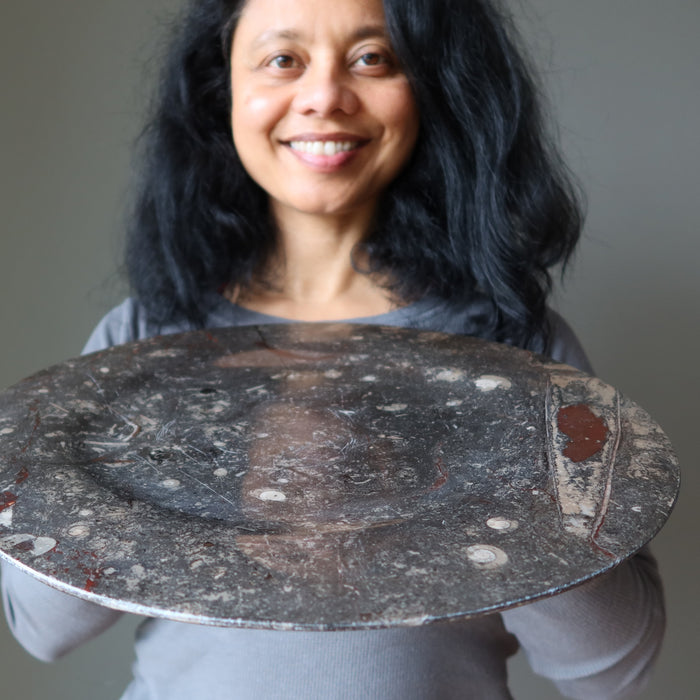 Orthoceras Fossil Charger Plate Ancient Black Stone 13.5 Inch