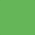Shop the paint color 559 Paradise Valley by Benjamin Moore at Anderson Paint Company in Ann Arbor, Michigan.