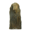 Petrified Wood Raw Crystal Display Stone Nature in My Home