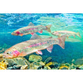 RAINBOW TROUT - 3D Magnet for Refrigerator, Whiteboard, Locker