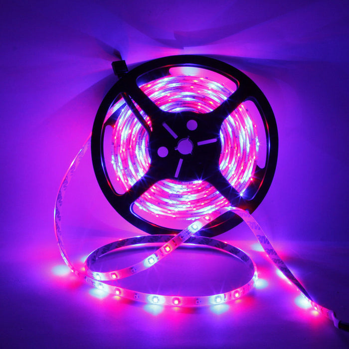 Waterproof Light