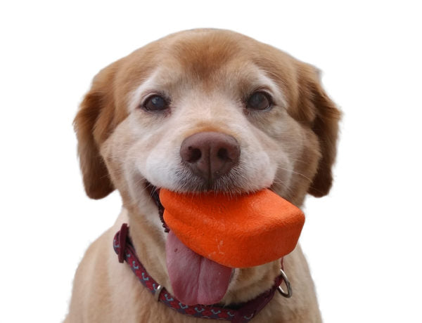 Ruff Dawg Rock Rubber Retrieving Toy