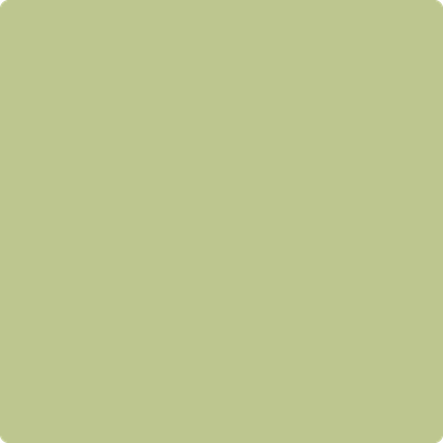 Shop the paint color 537 Shades if Spring by Benjamin Moore at Anderson Paint Company in Ann Arbor, Michigan.