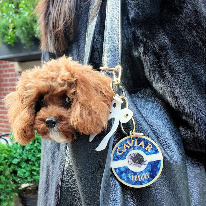 Hand-painted Caviar Bag Charm keychain with puppy held by person wearing black bag