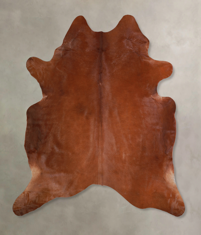 Solid Brown Cowhide Rug #A33303