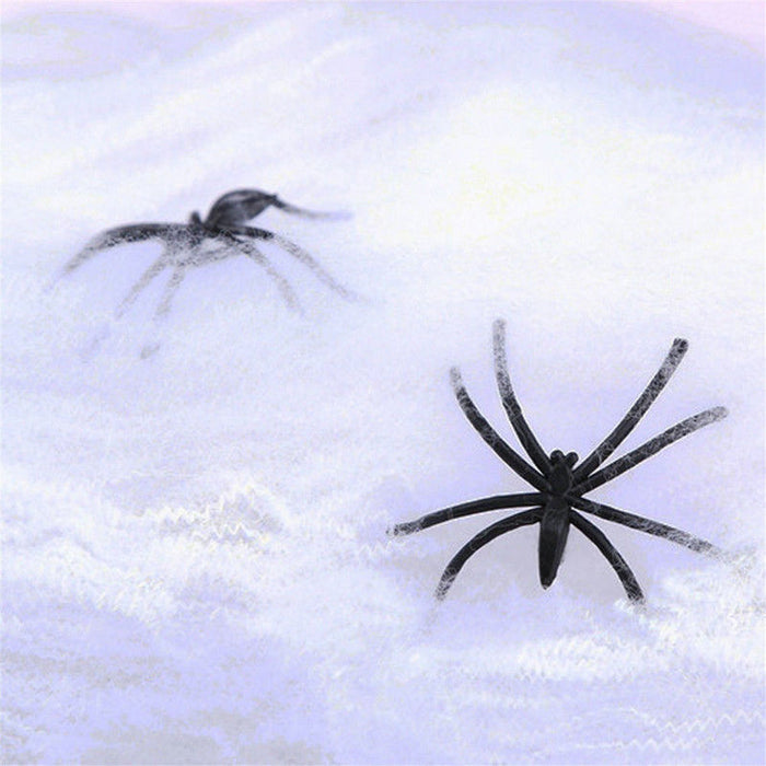 Spiderweb Decoration