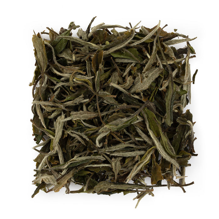 Superior Peony White Tea #1267