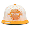 Tennessee '90 Pin Snapback