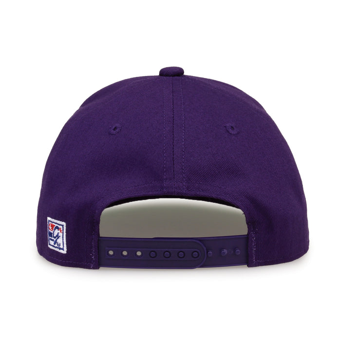 Washington Retro Bar snapback hat in purple, straight rear view showing the adjustable snap closure